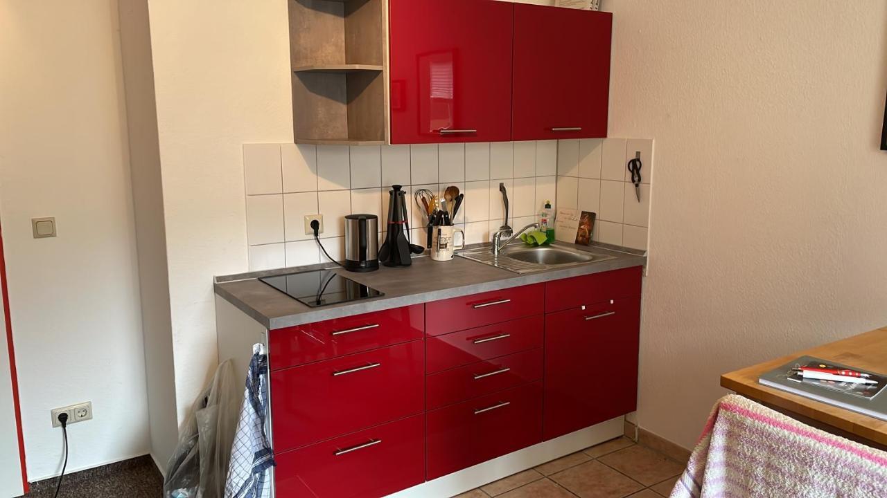 Apartment An Der Muehle In Wernigerode /Hasserode المظهر الخارجي الصورة